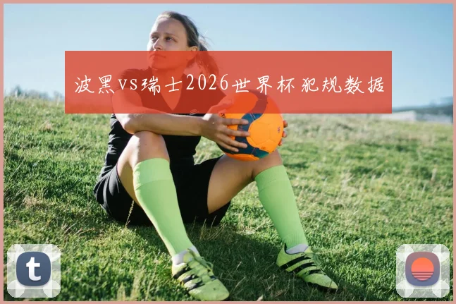 波黑vs瑞士2026世界杯犯规数据