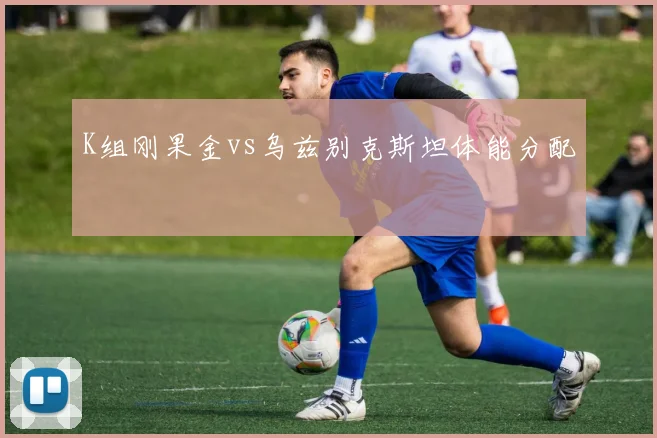 K组刚果金vs乌兹别克斯坦体能分配