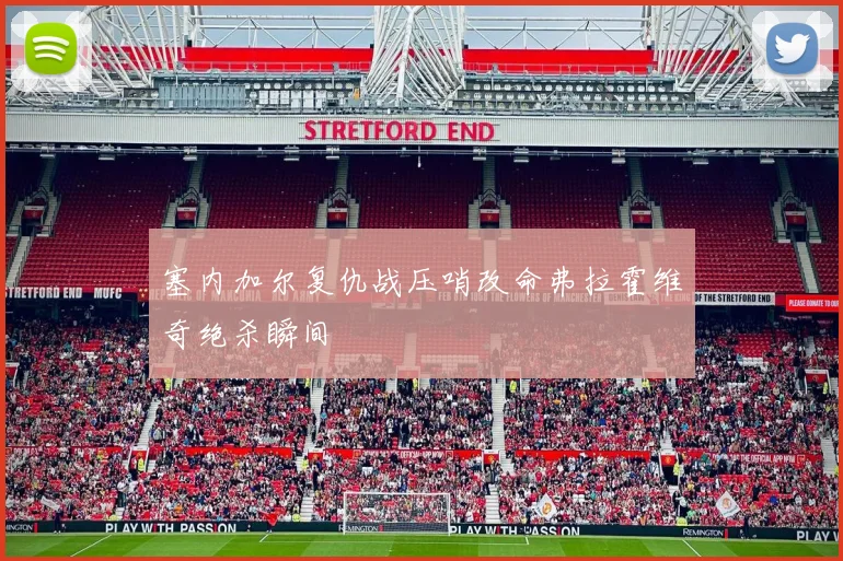 塞内加尔复仇战压哨改命弗拉霍维奇绝杀瞬间