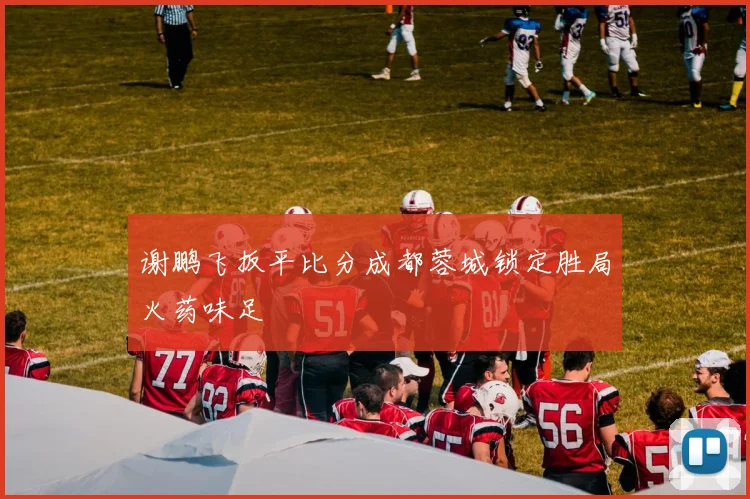 谢鹏飞扳平比分成都蓉城锁定胜局火药味足