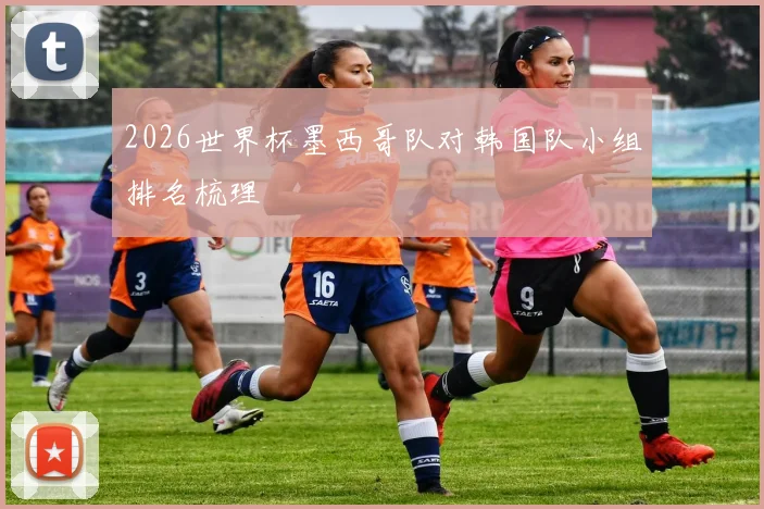 2026世界杯墨西哥队对韩国队小组排名梳理
