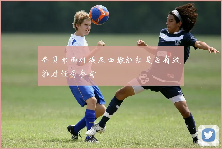 乔贝尔面对埃及回撤组织是否有效推进任务参考